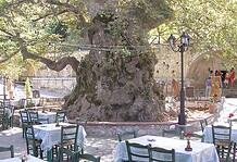 Σώσε για να σωθείς