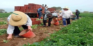 Κατασχέσεις κοινοτικών επιδοτήσεων αγροτών!