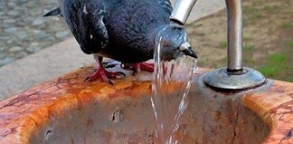 Προς μια πολιτική της αφοβίας