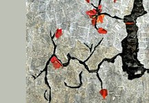 Ανοίγουμε τη συζήτηση για τον Δρόμο της διεξόδου