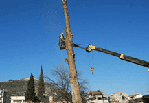 Καρατόμησαν 200 χρόνια ιστορίας