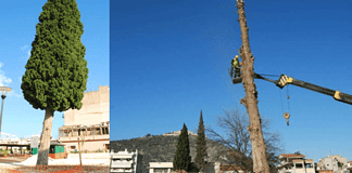 Καρατόμησαν 200 χρόνια ιστορίας