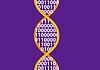 Αποθήκες πληροφοριών σε DNA
