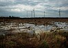 Η πολιτική διαδικασία σε ναρκω-πέδιο | του Ρούντι Ρινάλντι
