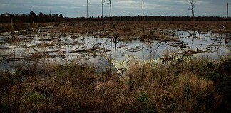 Η πολιτική διαδικασία σε ναρκω-πέδιο | του Ρούντι Ρινάλντι