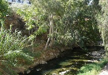 Ν. Φιλαδέλφεια | Συζήτηση για το ρέμα του Ποδονίφτη