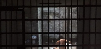 Πολιτισμός και Βαρβαρότητα (φ.433)