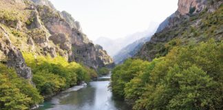 Της επιστήμης και της κοινωνίας (φ.440)