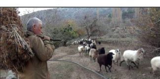 Πολιτισμός και βαρβαρότητα (φ.440)