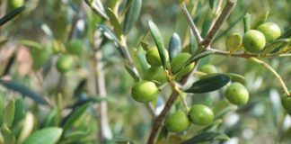 Της επιστήμης και της κοινωνίας (φ.476)