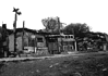 Η «Πληθυντική ζωή», του Γιάννη Σχίζα
