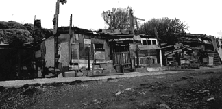 Η «Πληθυντική ζωή», του Γιάννη Σχίζα