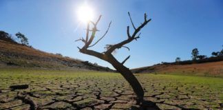 Ερημοποίηση και επισιτιστική ασφάλεια: Δικαίωμα στην τροφή ή δικαίωμα στη γη;