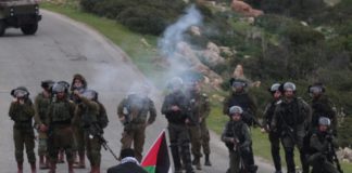 Παλαιστίνη όπως Κύπρος, Κύπρος όπως Παλαιστίνη…