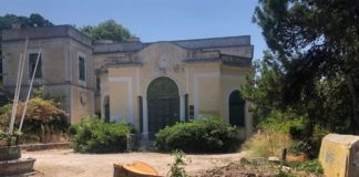 Κόβοντας δέντρα στη Ρόδο…