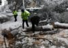 Η «Μήδεια» και ο «κακός τους ο καιρός»