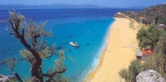 Resistance Camping, 4-8 Αυγούστου, Πλατανιάς Πήλιο