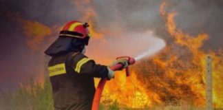 21 και 1 θέσεις για το κλίμα και τις πυρκαγιές