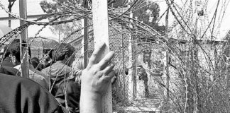«Στον αγώνα για την Ελευθερία της Κύπρου»