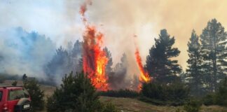 Η Τραπεζίτσα καίγεται, το κράτος νίπτει τας χείρας του