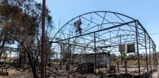 Το κτήμα του Θοδωρή Αρβανίτη αξίζει να ζήσει