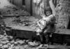 «Όλοι σε φώναζαν Αρχηγό» ή… εκλογές δια πάσαν νόσον