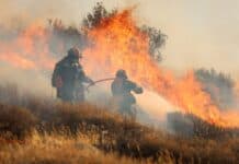Πυρκαγιές: Το κράτος σε διάλυση