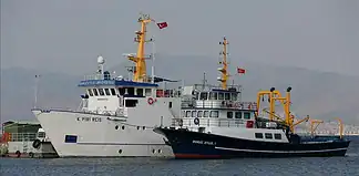 Πίρι Ρέις: Στρουθοκάμηλος στα «ήρεμα νερά»