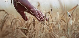 Κάλεσμα για τη δημιουργία Δικτύωσης για την Παραγωγική Ανασυγκρότηση του Αγροτοδιατροφικού τομέα