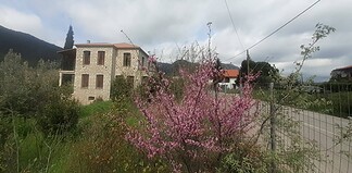 Η εγκατάλειψη της περιφέρειας με χαρακτηριστικό παράδειγμα ένα αρχοντικό